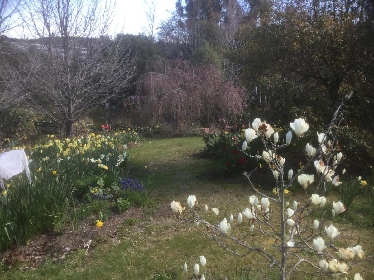 Mapua Garden B & B Esterno foto